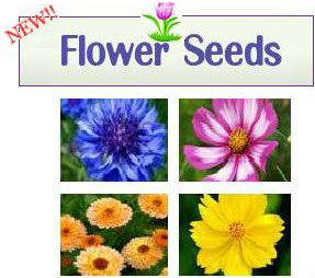 flower-seed-w-pictures-new.jpg