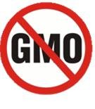 no-gmo.jpg
