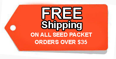 ship-free.jpg