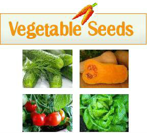 vegetable-seed-w-pictures-new.jpg