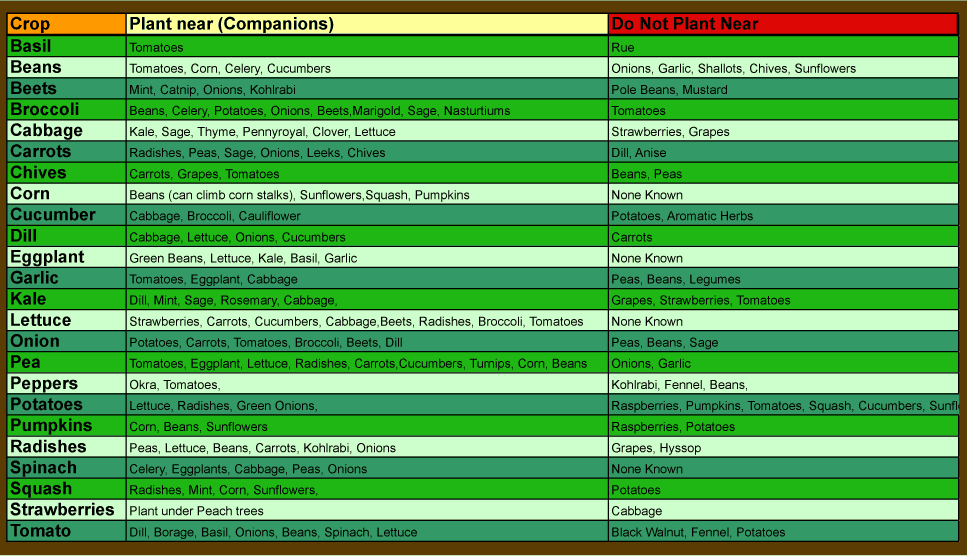 Companion Chart