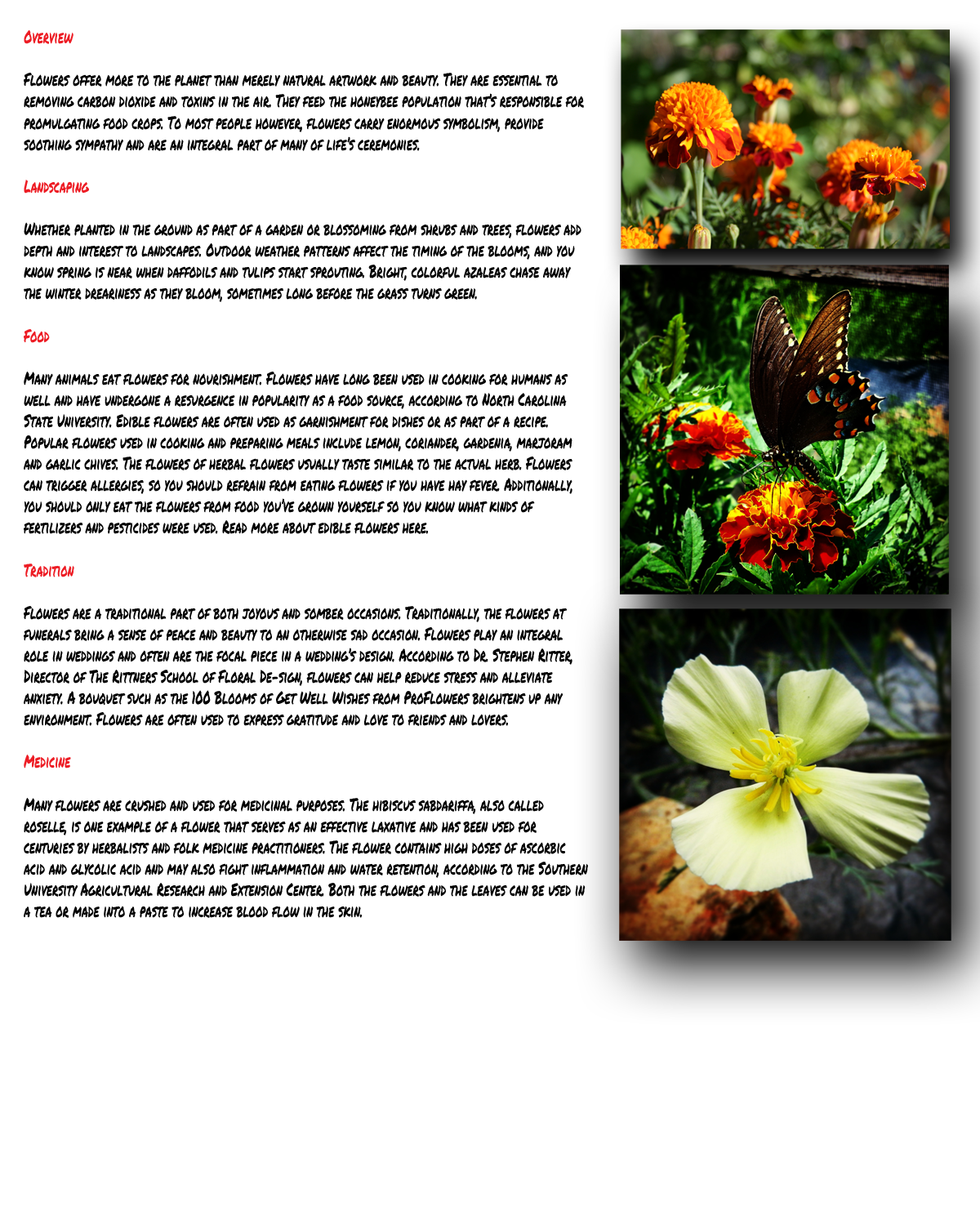 flower-page-small.png
